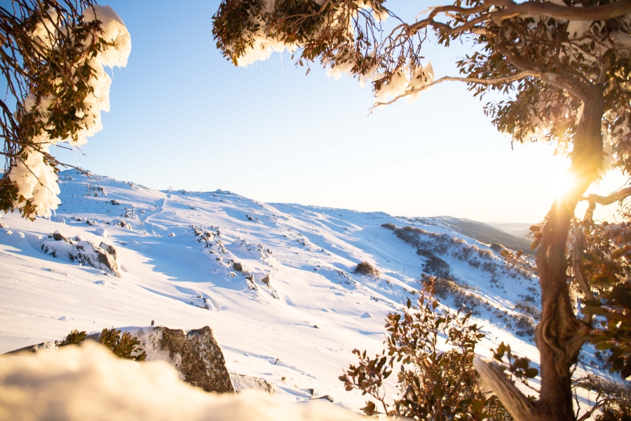 SYDNEY – CANBERRA – MELBOURNE