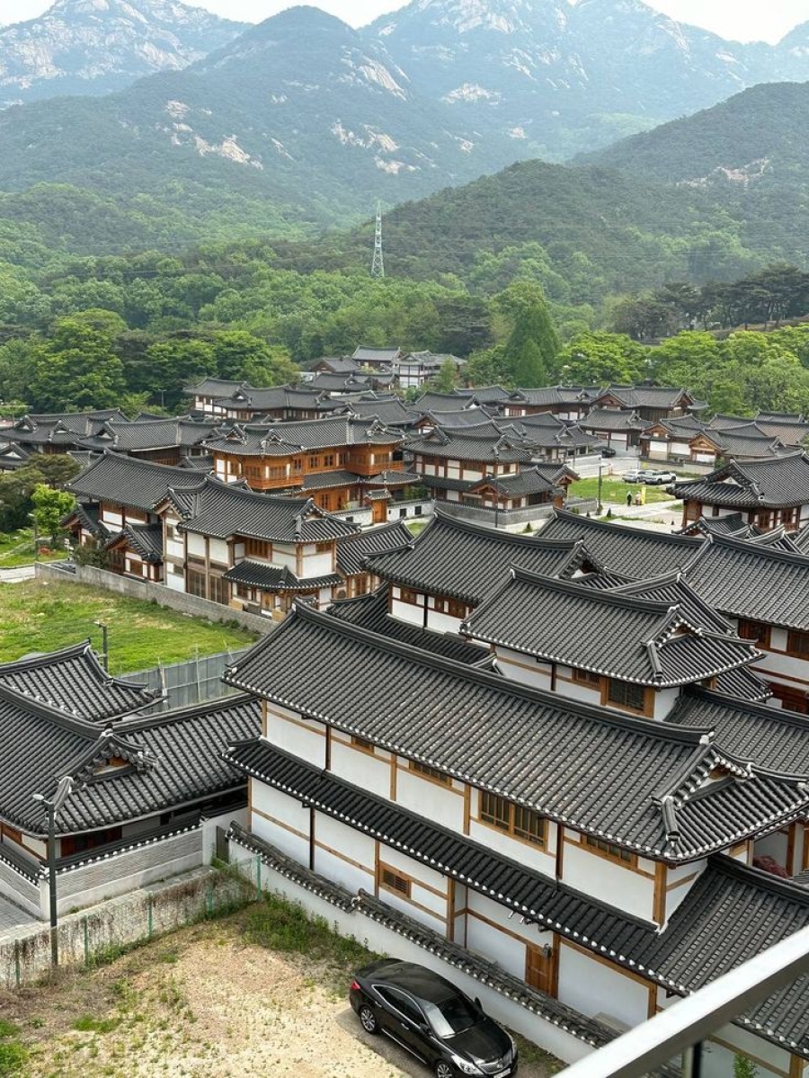 SEOUL - ĐẢO NAMI - MORNING CALM - DMZ